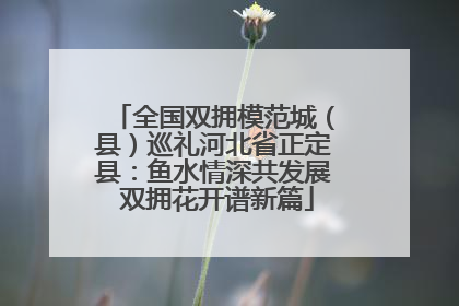 全国双拥模范城（县）巡礼河北省正定县：鱼水情深共发展 双拥花开谱新篇